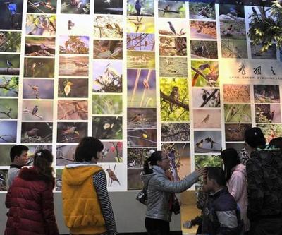 工廠礦山也能變景區？國家工業遺產旅游基地名單出爐 市場營銷策劃篇